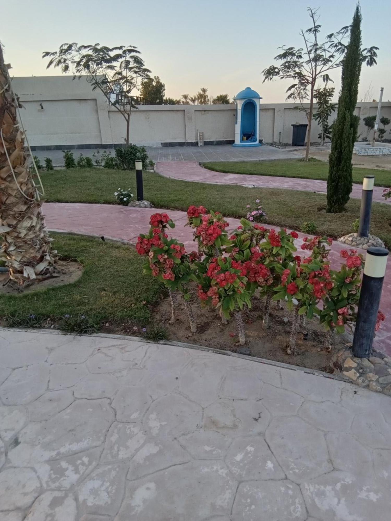 Casablanca Beach For Families And Couples Only Aparthotel Hurghada Bagian luar foto